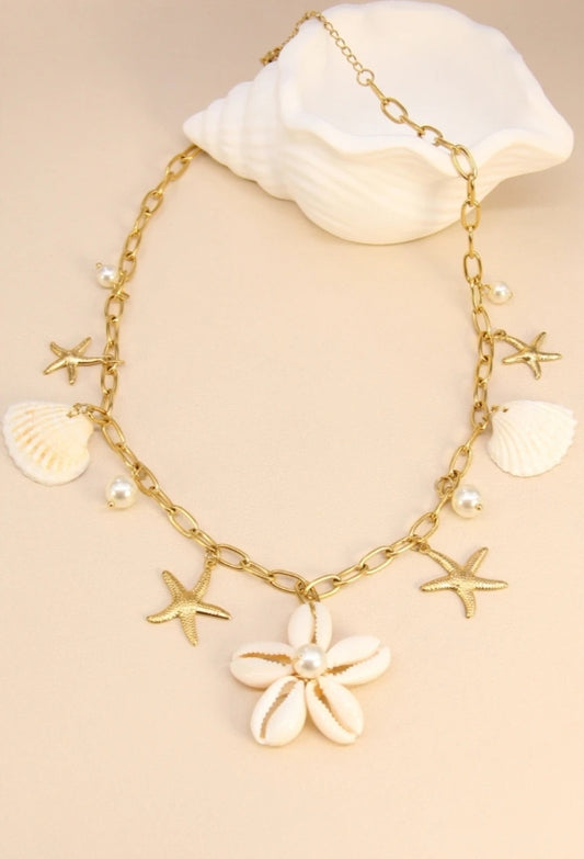 Collier en acier inoxydable avec coquillages – Élégance marine