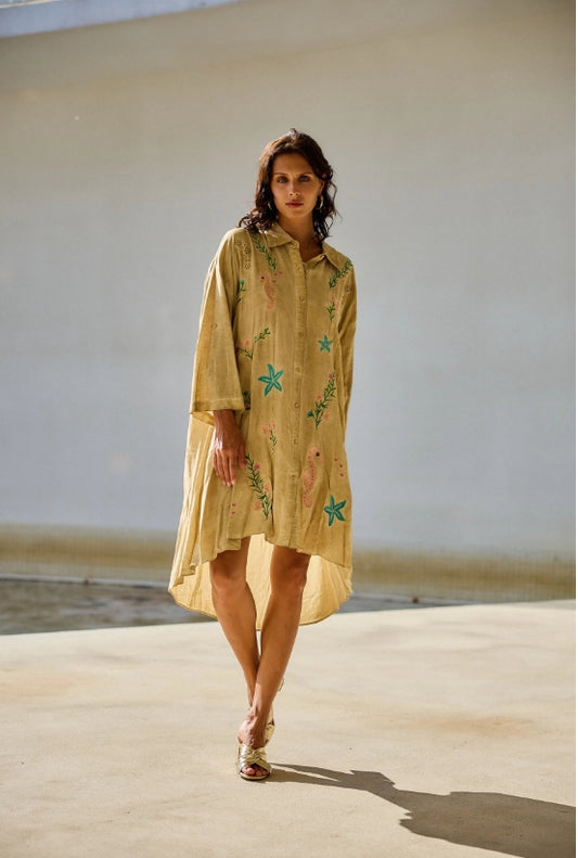 Robe chemise broderie , col V , coupe évasée